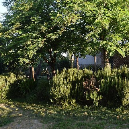 Willa Il Saragio Abbadia di Montepulciano Zewnętrze zdjęcie