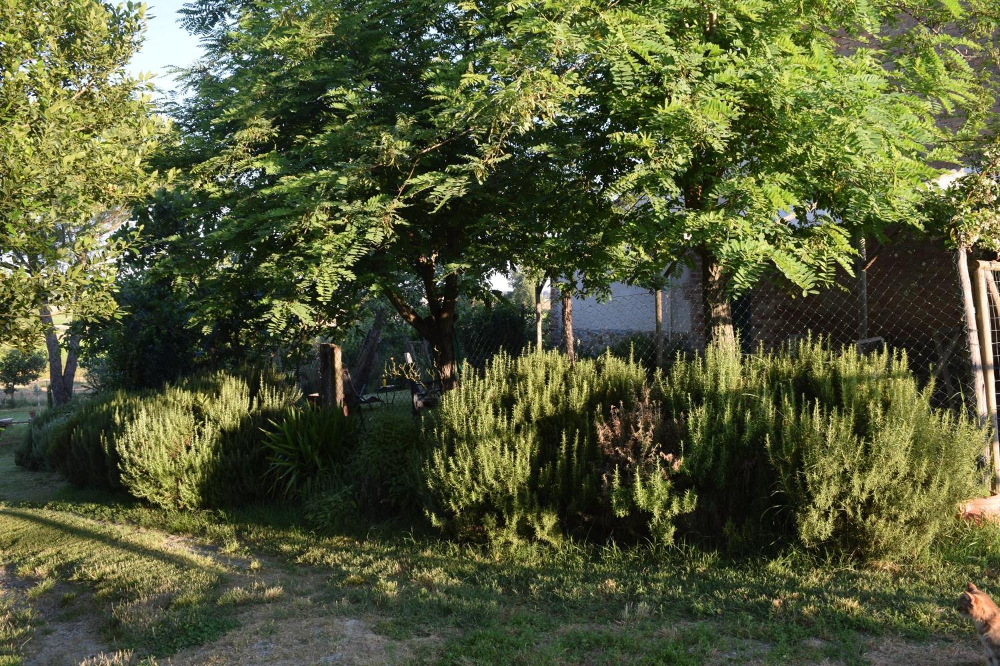 Willa Il Saragio Abbadia di Montepulciano Zewnętrze zdjęcie