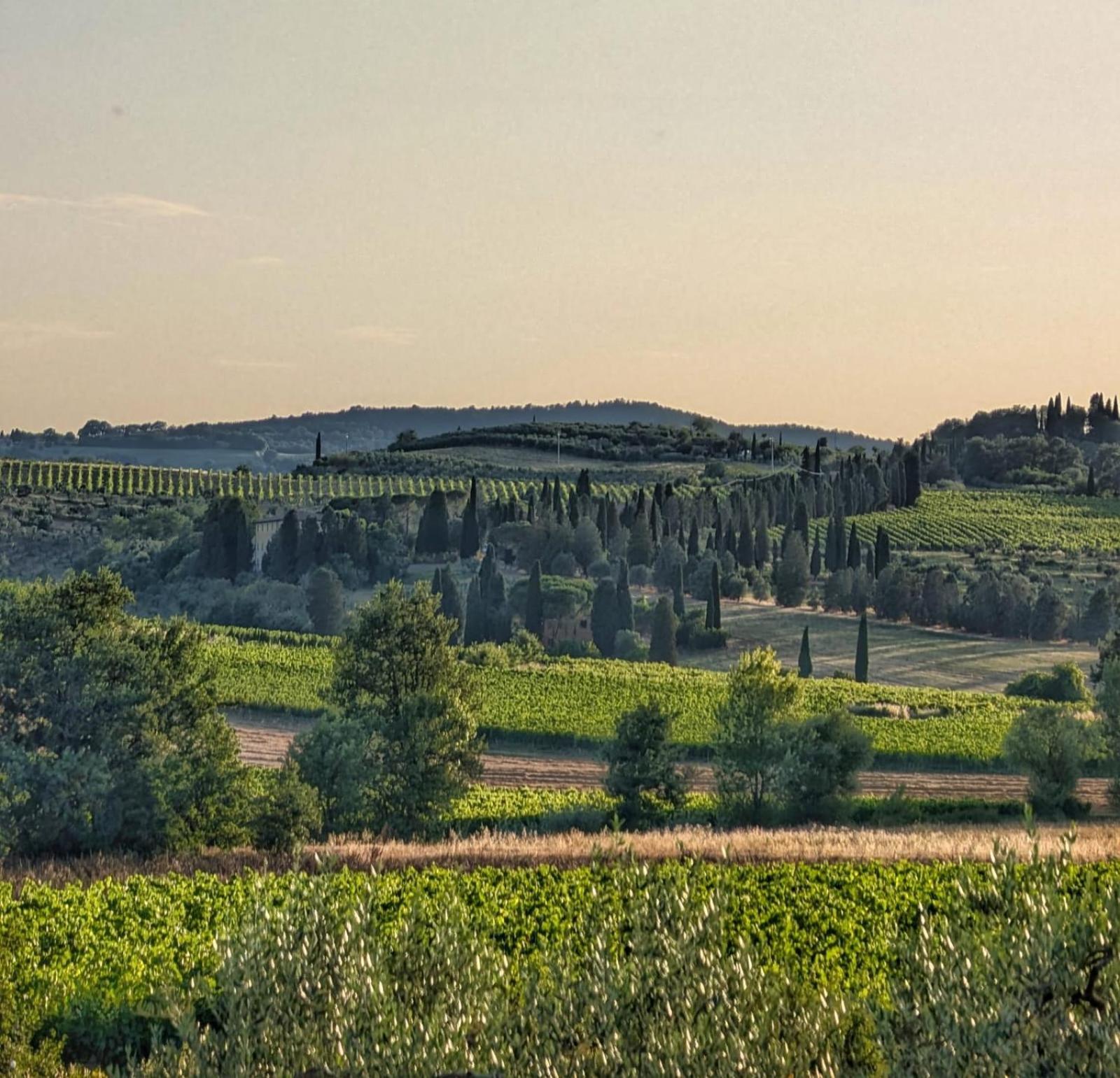 Willa Il Saragio Abbadia di Montepulciano Zewnętrze zdjęcie