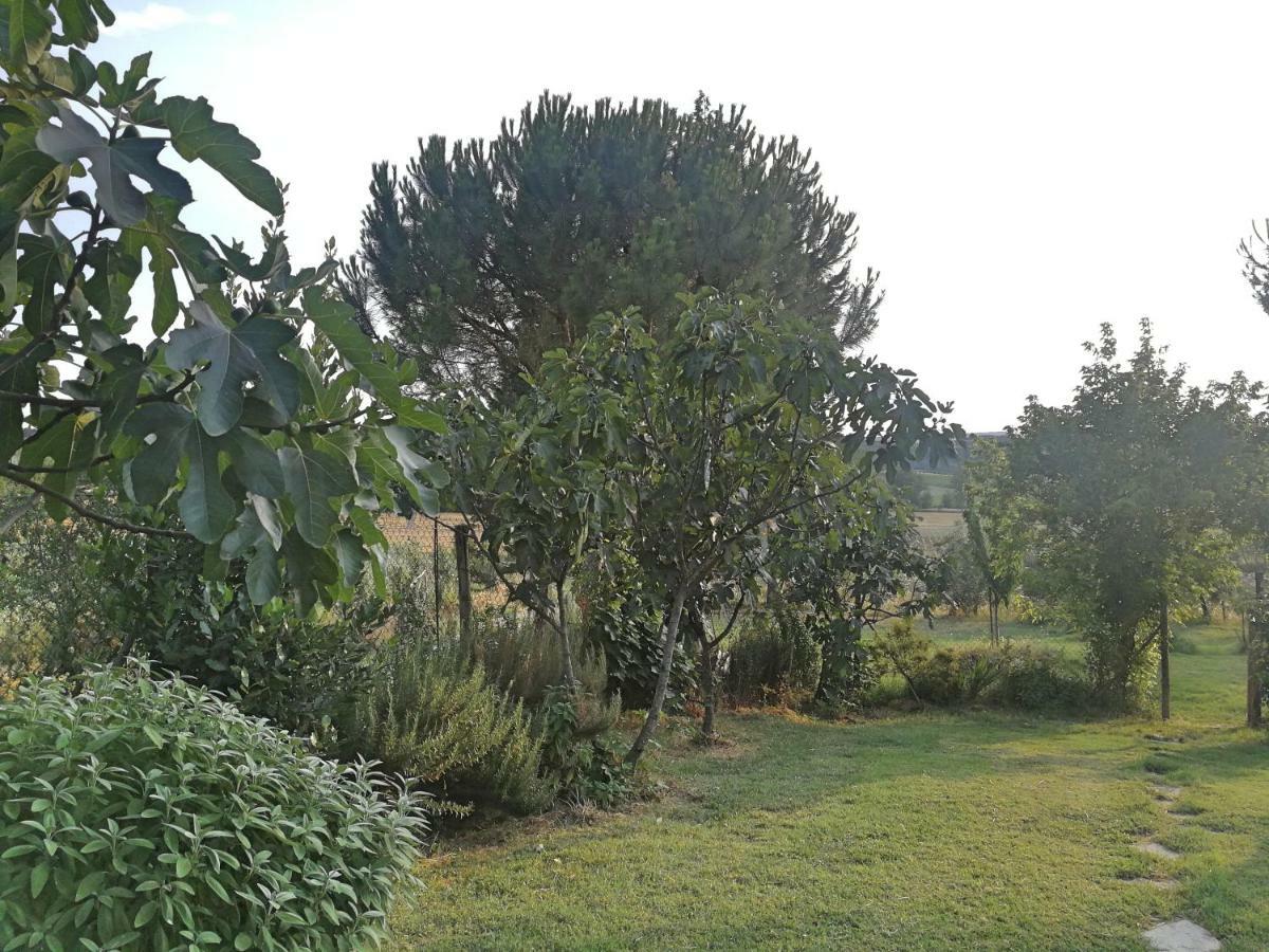 Willa Il Saragio Abbadia di Montepulciano Zewnętrze zdjęcie